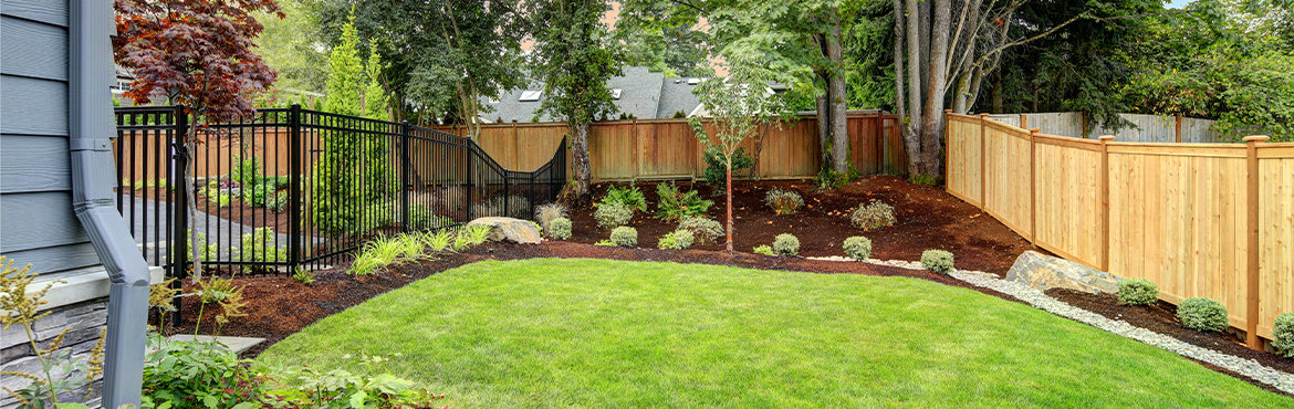 Backyard with wood and wrought iron fence